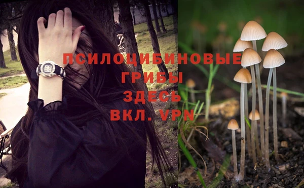 кокаин перу Покачи